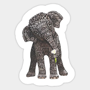 Baby Elephant Sticker